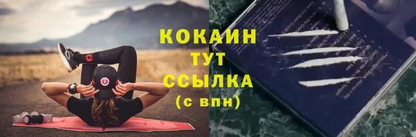 молекула духа Верхний Тагил