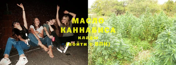 молекула духа Верхний Тагил