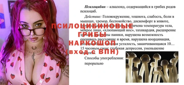 винт Верея