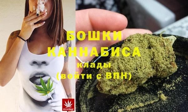 молекула духа Верхний Тагил